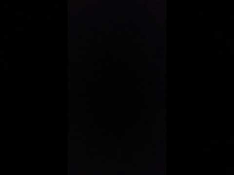 Hirschlosn - Brunftzeit in Wörschachwald 24092017