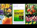 SOUTHERN AG Triple Action Neem Oil Insecticide Fungicide Miticide 70%
