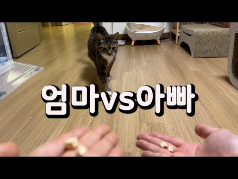 춘봉,첨지야 엄마가 좋아? 아빠가 좋아?