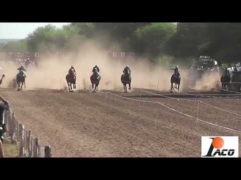 GUILLERMITO HIPODROMO PANGARE 20 02 2022