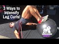 🍑3 WAYS TO MAKE LEG CURLS HARDER! | BJ Gaddour Hamstrings Glutes Legs Workout