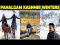 Pahalgam Kashmir In Winters Vlog 2024 Route to Betaab Valley| Amarnath Yatra | Part 3