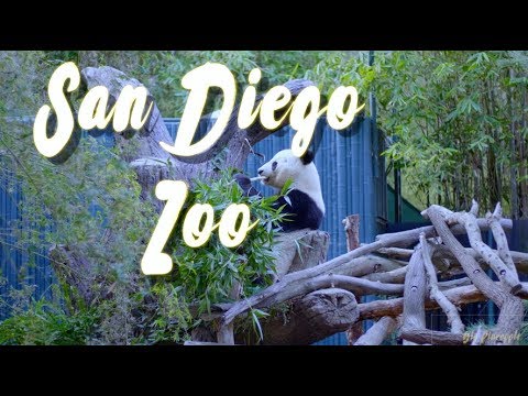 A Day at The San Diego Zoo - 4K Gh5
