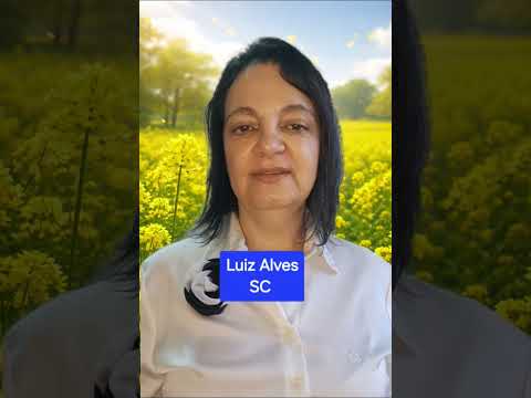 Luiz Alves SC #SANTACATARINA #CIDADE #MOTIVACIONAL