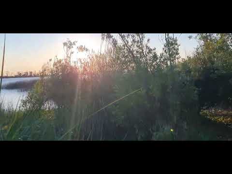 Las Brujas Canelones