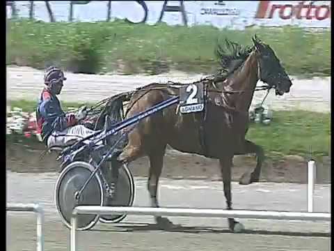 Trotto 13/05/2018 - 3ª corsa