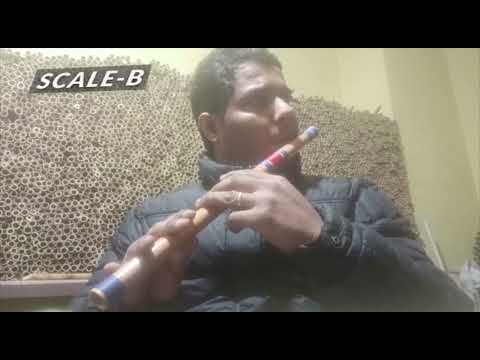 Professional 6 Holes Polished Bamboo Flute - (Indian Flute) With Carry Bag (Scale-B) -Demo