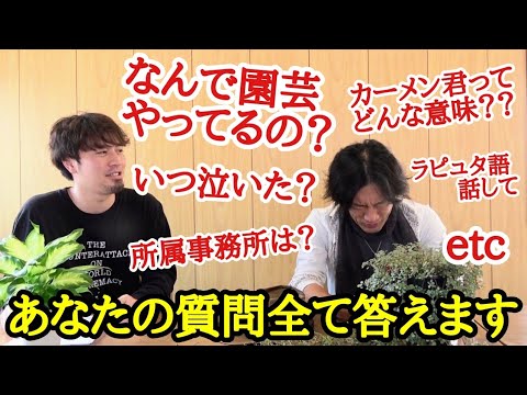 園芸 翡翠の木に関するよくある質問