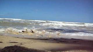 preview picture of video '27.03.2009 - Dom. Rep. - Halbinsel Samaná - Las Terrenas - Playa Cozon - Mini Gezeiten'