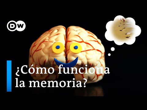 Our memory: how does it work and what benefits it?