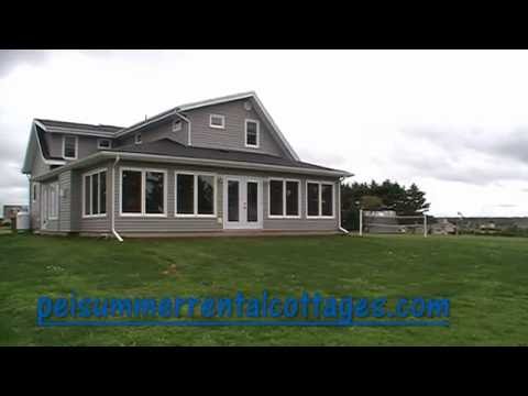 Blooming Point Video