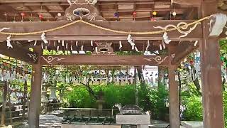 【2024】松尾大社·風鈴祈願