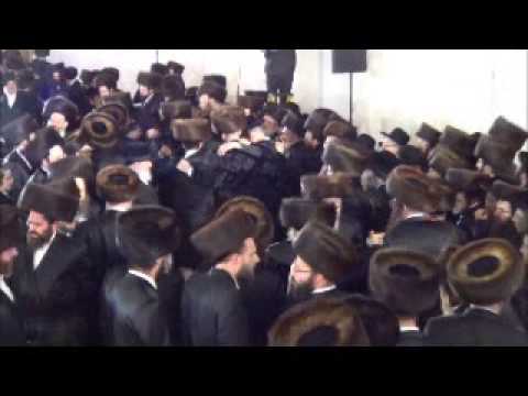 Bobover Dayan of London Sons Wedding -  2013