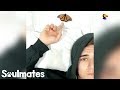 Guy Becomes Best Friends With A Butterfly The Dodo Soulmates