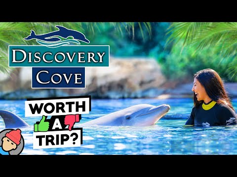 Discovery Cove Orlando FULL TOUR & REVIEW | TIPS