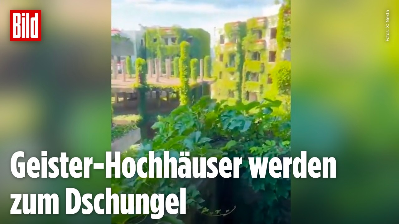 CHINAS GEISTERSTADT: So erobert die Natur verlassene Wohnblöcke zurück