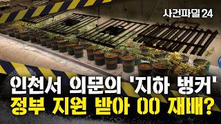 Download lagu [사건파일24] 비닐하우스 밑에 '지하벙커'?···정부 보조금으로 대마 키운 '청년농부' mp3