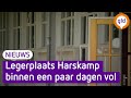 Gevluchte Afghanen nemen in de noodopvang in Harskamp