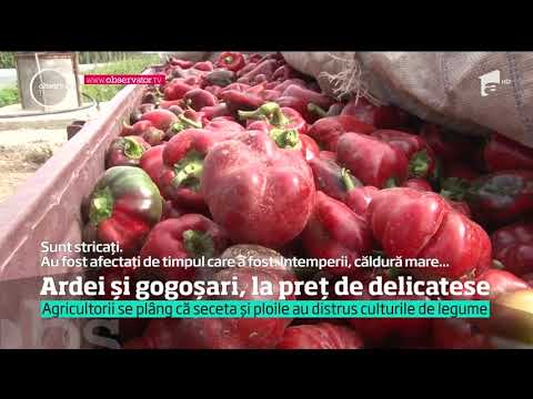 Murăturile şi zacusca, conserve de lux în acest an. Ploile acide şi seceta au distrus recolta de