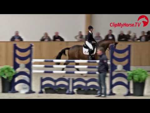 Chatender v Chaman Hengstschau 2017