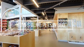 Homes Alive Pets on Google Street View in 360°