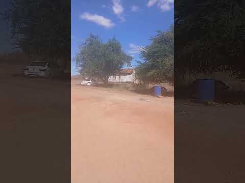 ilha dos Damásio hidrolandia Ceará Brasil