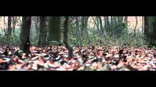 Gruff Rhys - Lonesome Words (Vocals Removed)