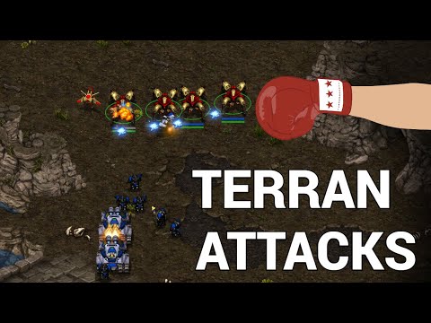 StarCraft 1: Terran Seeks Revenge! - BishOp vs ZhanHun | GAN Race