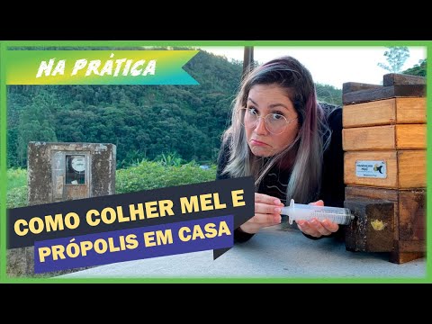 , title : 'Como colher mel e fazer própolis em casa de abelhas sem ferrão -  Na Prática Ep. 9'