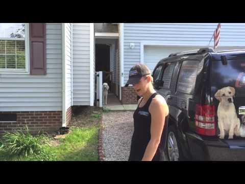 Angus Advanced gate manners