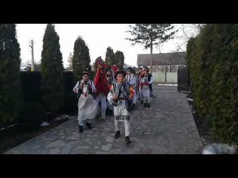 Căiuții și caprele din Bosteni/Sodomeni 2018-2019