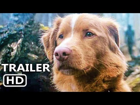GOOD BOY Trailer 2 (2025)