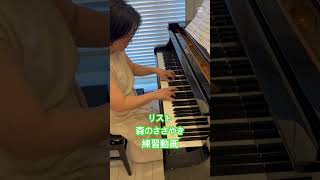 Download lagu リスト/森のささやき/練習動画 #ピアノ #弾いてみた mp3 Download lagu リスト/森のささやき/練習動画 #ピアノ #弾いてみた mp3