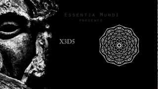 X3D5 - The Advent Of Spirit In The Despair Hall (Excerpt from new album)