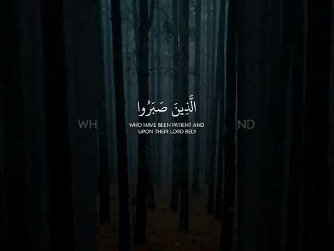 #explore #love #trend #night #winter #hashtag