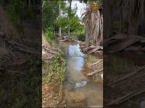 Fazenda à Venda em Uirapuru - Goiás #shorts #agro #fazenda