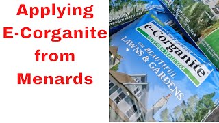 Applying E-Corganite  From Menards Instead of Milorganite Before Memorial Day