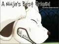 Kiba Amv Who Let The Dogs Out