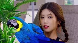 브레이브걸스 BRAVEGIRLS   유후 우린 아직 여름 YOO HOO MV