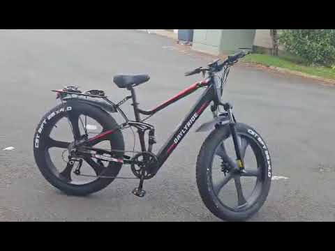 daylyride DYX90 HIGH power E BIKE Delivery/CHOICE - Image 2