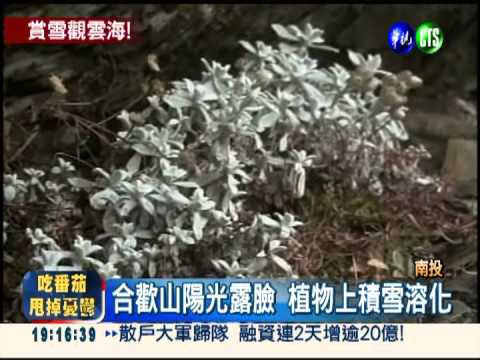 天氣冷內心熱!合歡山雪地求婚記