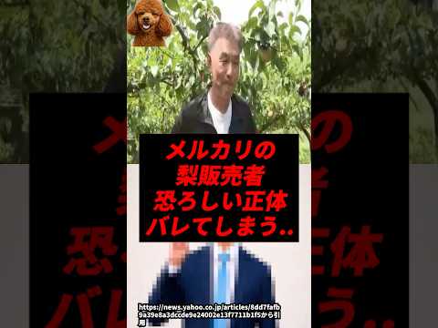 【速報】メルカリの梨販売者、遂に恐ろしい正体がバレてしまう..