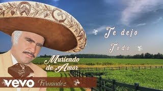Vicente Fernández - Te Dejo Todo (Cover Audio)