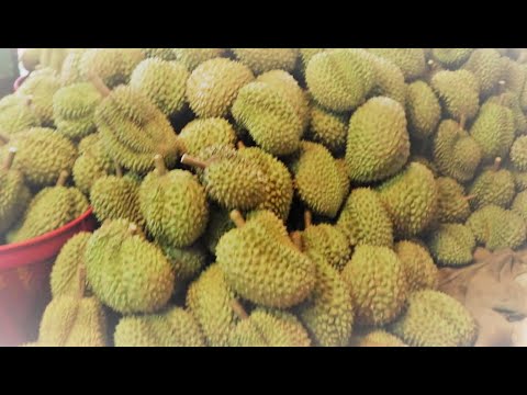 The Most Smelliest Fruit Durian | Amazing Cutting Skills Master -Thai street Food