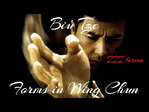 Biu Tze - III form of Wing Chun