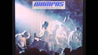 Music video thumbnail preview for Les Wampas - Bloc de glace (1988) by Les Wampas