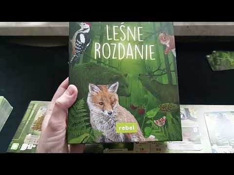 Leśne Rozdanie - jak grać?