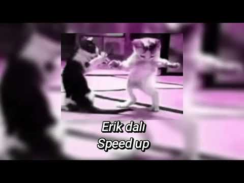 ERİK DALI-SPEED UP