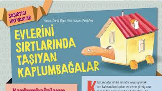 Minika Go Dergisi - Şubat 2017