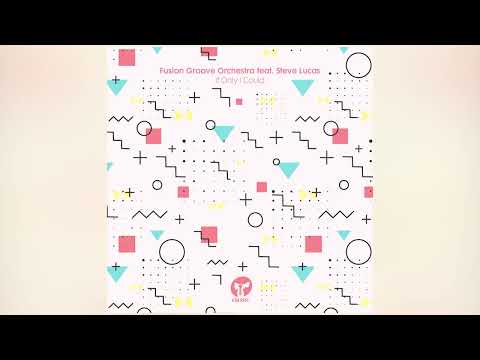 Fusion Groove Orchestra feat Steve Lucas  -   If Only I Could (Liem Remix)